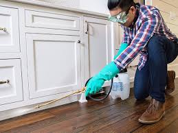 Best Residential Pest Control  in Akron, IN